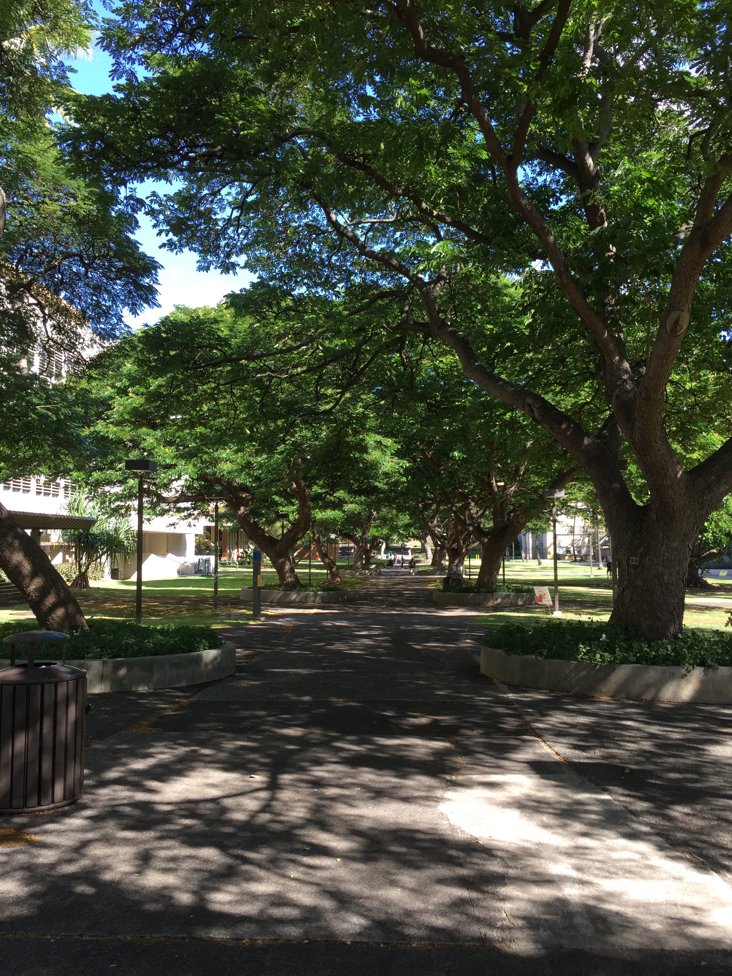ハワイ大学マノア校キャンパス